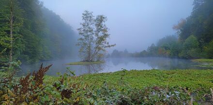 Die Biberinsel im Morgennebel Biberinsel